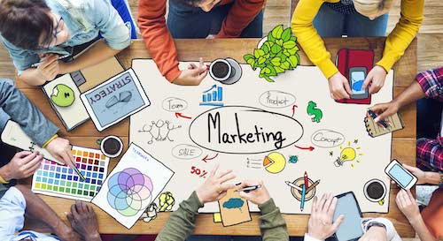 Marketing - business majors