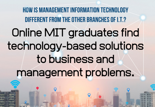 Management Information Technology