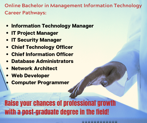 Management Information Technology