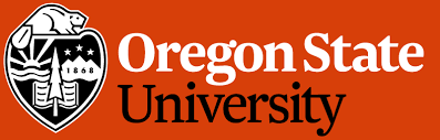 cheapest bachelor's degree in business management