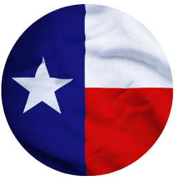 Texas - public business management schools - logo divider