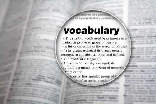 vocabulary