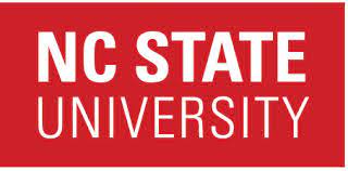 online MBA in Finance